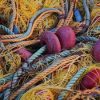 Cast Your Net on the Other Side